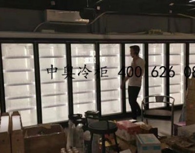深圳市龍華區書香門第上河坊啤酒先生19門KTV啤酒冷柜